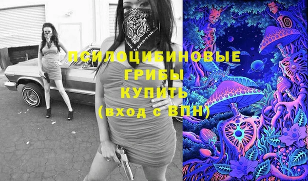 бошки Аркадак