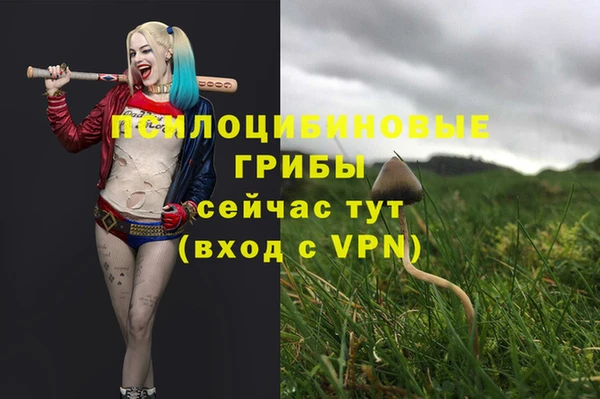 стаф Армянск