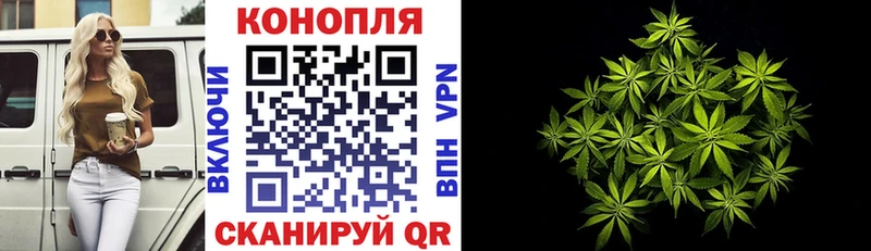 Бошки Шишки конопля где найти наркотики Удомля
